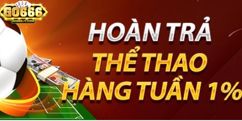 Khuyến Mãi Hoàn Trả Go666 - Cơ Hội Nhận Lại Tiền Đặt Cược 2 Chương trình hoàn trả áp dụng cho nhiều loại cá cược khác nhau