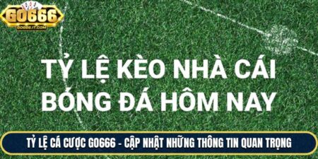Tỷ Lệ Cá Cược Go666 - Cập Nhật Những Thông Tin Quan Trọng 5 Tỷ Lệ Cá Cược Go666